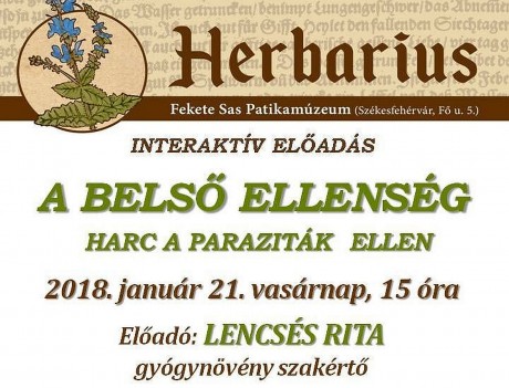 Lencsés Rita gyógynövény-szakértő előadása a Fekete Sas Patikamúzeumban